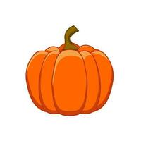 Pumpkin vector graphics illustration isolated on white background