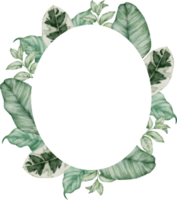 couronne de fleurs aquarelle peinture à la main png