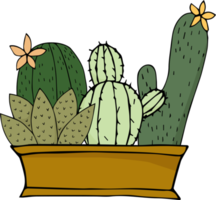 dessin animé de cactus dessiné à la main png