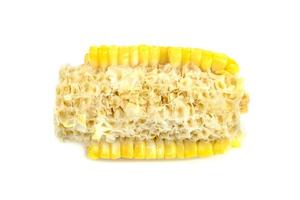 Bitten corn isolated on white background photo