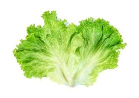 Lettuce leaf isolated on white background ,Green leaves pattern ,Salad ingredient photo