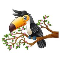 Cartoon funny toucan on a tree branch vector