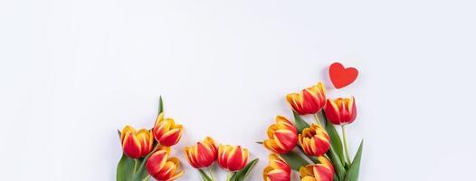 Tulips on white background of copy space, concept of Mother's day. photo