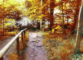 Beautiful panorama view on a golden autumn landscape found in europe photo