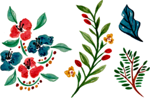 handgemaltes aquarellblumenelement für illustrationssatzsammlung png