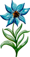 elemento del fiore dell'acquerello dipinto a mano per la raccolta dell'insieme dell'illustrazione png