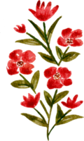 handmålade akvarell blomma element för illustration set samling png