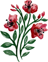 handmålade akvarell blomma element för illustration set samling png