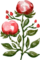 handmålade akvarell blomma element för illustration set samling png