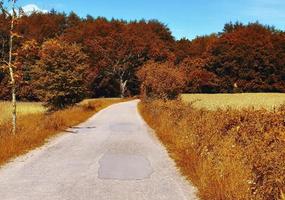 Beautiful panorama view on a golden autumn landscape found in europe photo