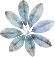 Leaf watercolor transparency. png