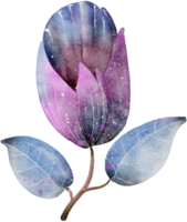 Flower watercolor transparency. png