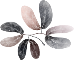 Leaf watercolor transparent. png