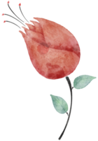 Flower watercolor transparent. png