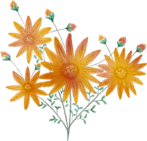 Flower watercolor transparent. png