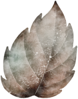 Leaf watercolor transparency. png