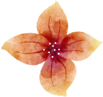 blomma akvarell transparent. png