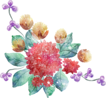 Flower watercolor transparent. png