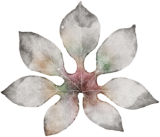 Leaf watercolor transparency. png