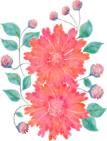 fleur aquarelle transparente. png