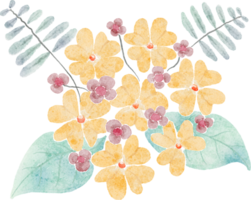 Blumenaquarell transparent. png