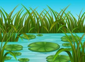 river scene and water lily in a beautiful nature vector