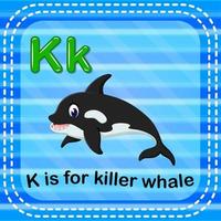Flashcard letter K is for killer whale vector