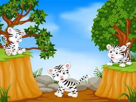 three tiger with mountain cliff scene vector