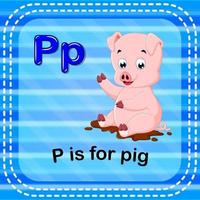 Flashcard letter P is for pig vector