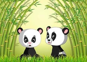 two cute panda in a bamboo forest