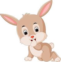 Cute rabbit cartoon vector