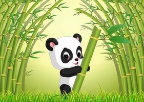 lindo panda en un bosque de bambú vector