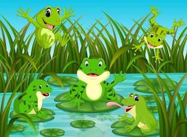 many frogs on leaf with river scene vector