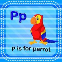 Flashcard letter P is for parrot vector