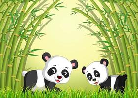 dos lindos pandas en un bosque de bambú vector