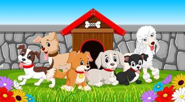 many pet dogs in the park vector