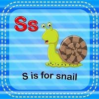 Flashcard letter S is for snail vector