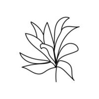 nature leaf line art illustration vector elements design