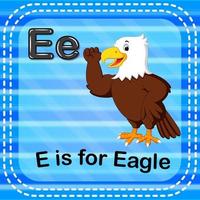 Flashcard letter E is for eagle vector