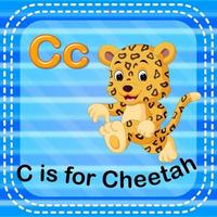 Flashcard letter C is for cheetah vector