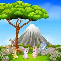 many rabbit sitting on the rock with mountain scene vector