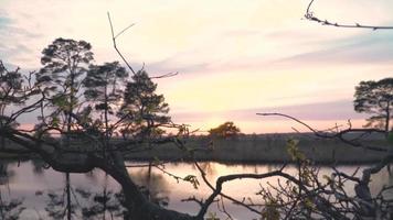 solen skiner ner på den lugna sjön som reflekterar träd och himmel video