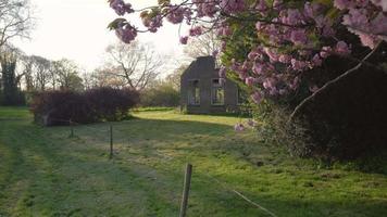 Walk along fence line under flowering tree with view of field and barn video