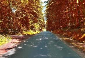 Beautiful panorama view on a golden autumn landscape found in europe photo