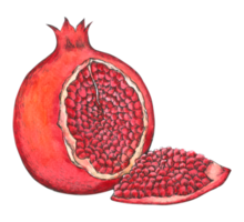 acquerello di frutta melograno png