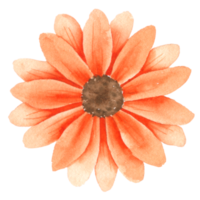 élément de fleur fleur de mariage aquarelle png