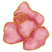 Flower with gold watercolor png
