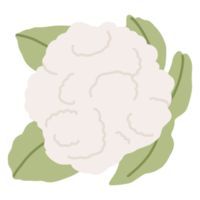 frutas y verduras de dibujos animados png