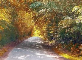 hermosa vista panorámica sobre un paisaje dorado de otoño que se encuentra en europa foto