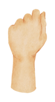 geste des mains aquarelle png